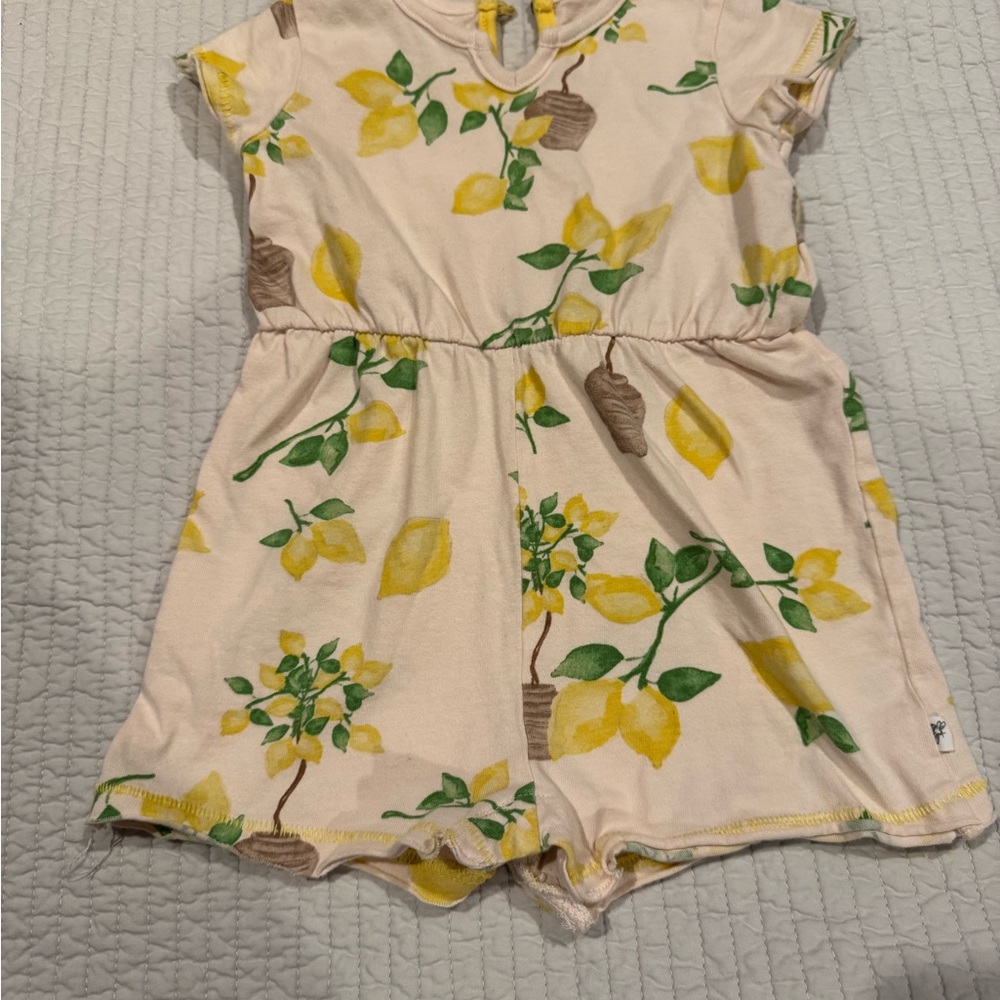 Burt's Bees Lemon and Leaf Print Kids Romper